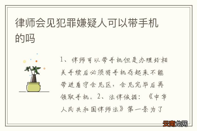 律师会见是否可以带手机