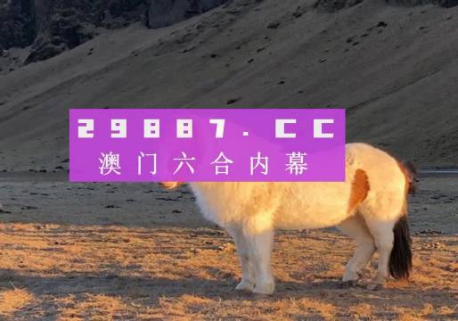 澳门幸运探索，必中一肖一码的幸运文化