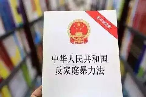 家庭暴力离婚案件中的权益保障与律师角色探讨