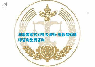 金堂青白江律师在离婚官司中的专业角色与应对挑战之道