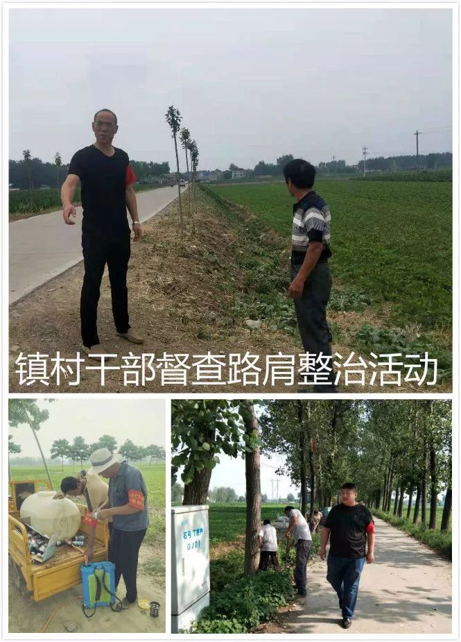 涡阳石弓镇律师服务质量解析，如何选择优质法律服务提供者？