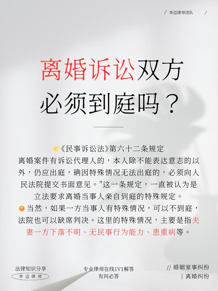 专业律师精心撰写的诉讼书全文解析