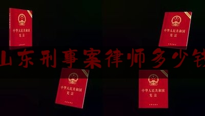 山东刑事咨询律师费指南