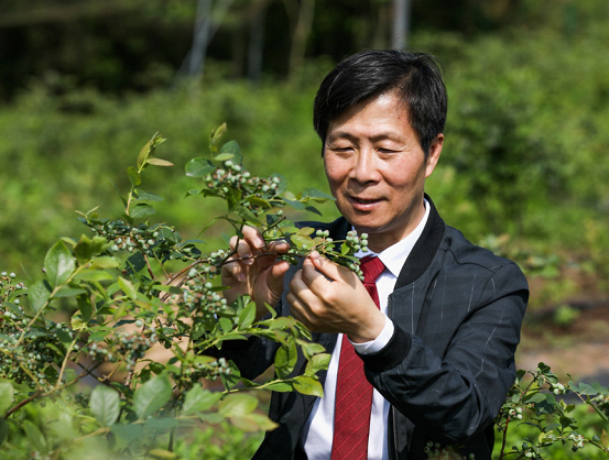 西岗区劳动律师选谁