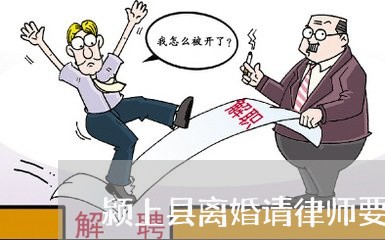 阜阳离婚官司律师专业指南