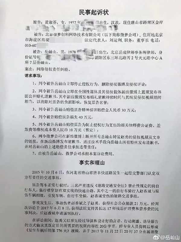 律师代理原告数量的法律边界与实际操作探讨