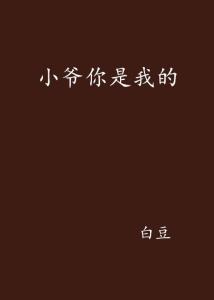 律师小姐你别跑在线阅读