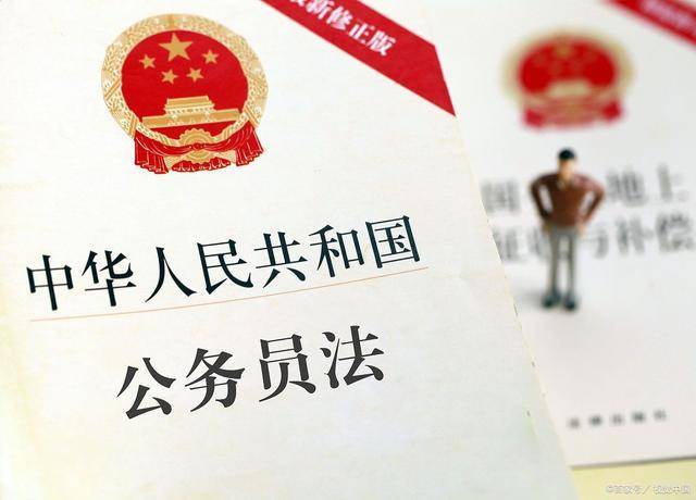 社保咨询律师应届生，初入社会的法律守护使者