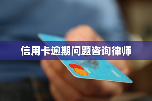 律师查询信用卡信息的指南与注意事项