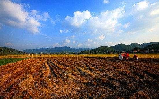 广西农村土地法律问题详解与免费律师咨询服务探讨