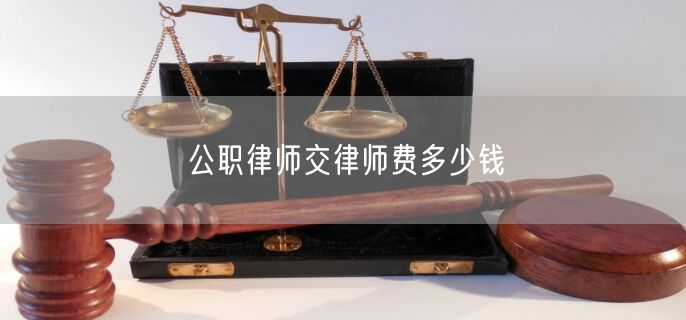 镇政府公职律师费用