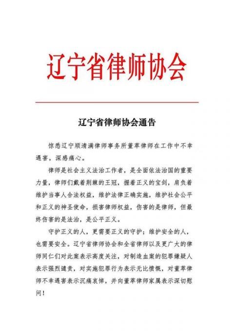 辽宁申诉案律师案例深度解析与启示大全