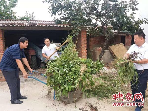 驻马店优选离婚律师解析，专业法律服务的关键要素解读