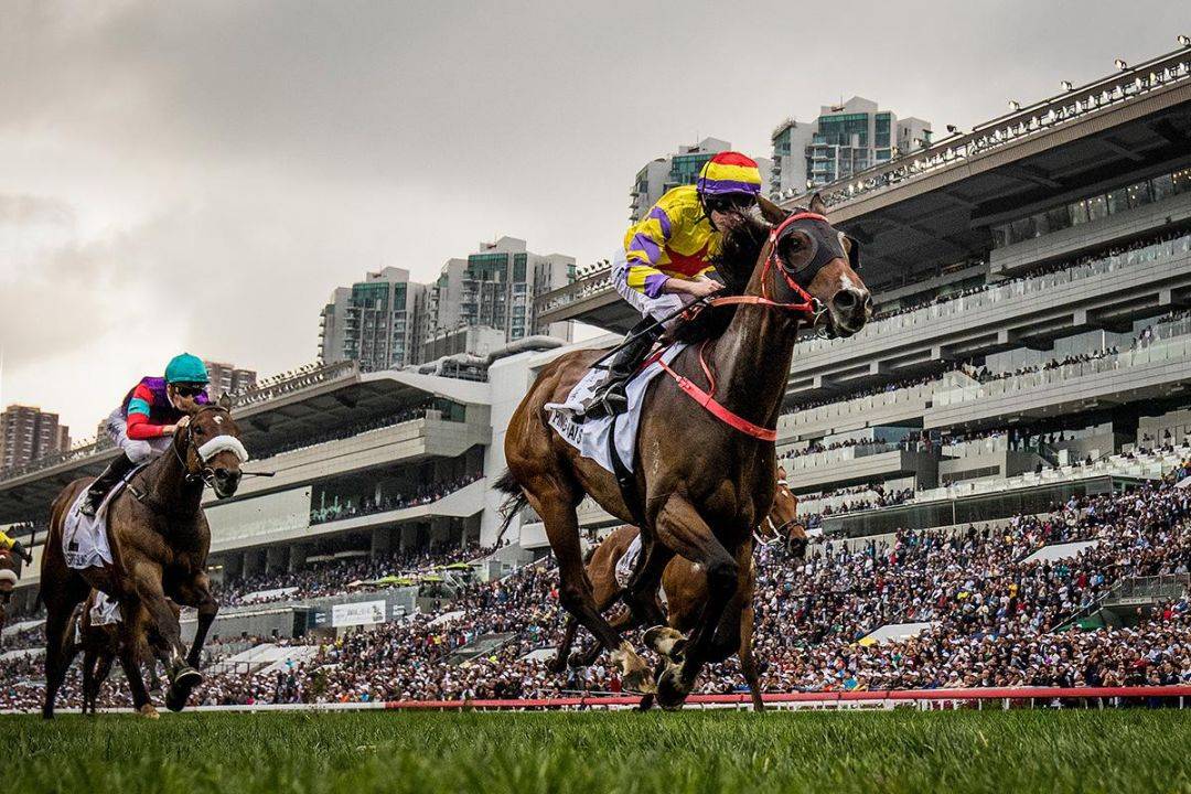 香港马会赛马直播，体验赛马运动的魅力与现代风采