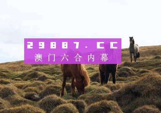 2023澳门准一肖一码一码