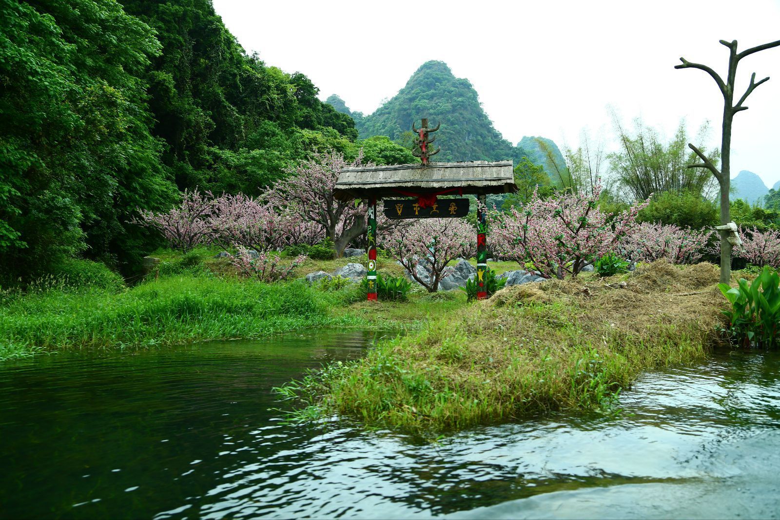 世外桃园心水，诗意栖居的秘境探寻