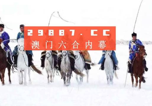 揭秘2023新澳门开奖结果查询，全面解读与体验分享