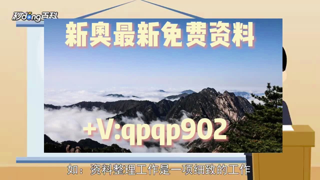 新一码一肖，正版资料精准探索之旅