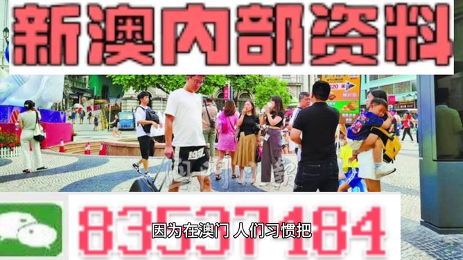 新澳2024资料大全免费，探索之旅与启示之门