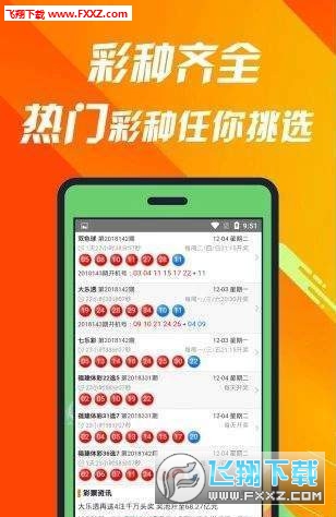 探寻神秘数字王中王493333中特1肖背后的故事