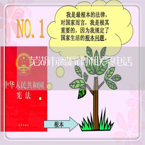 芜湖找离婚律师哪个好